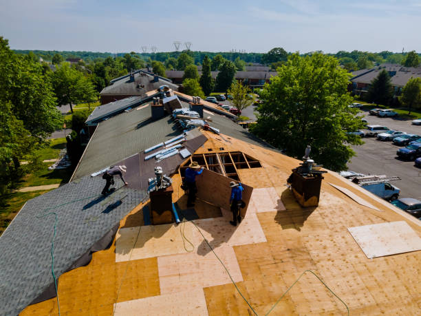 Best Storm Damage Roof Repair  in Texanna, OK